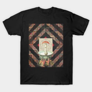 Fly Agaric T-Shirt